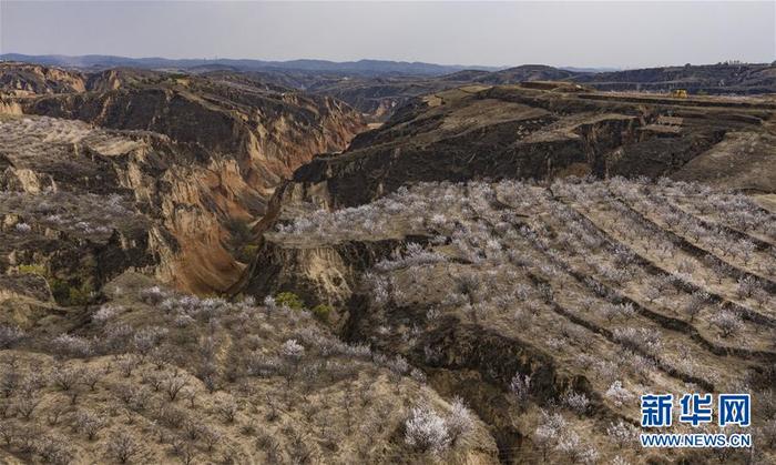 图片默认标题 图片默认标题_fororder_1125824374_15862631547151n