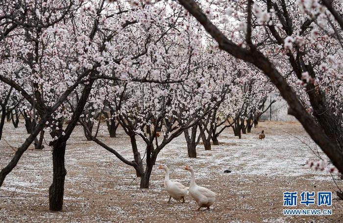 图片默认标题 图片默认标题_fororder_1125824374_15862631551211n