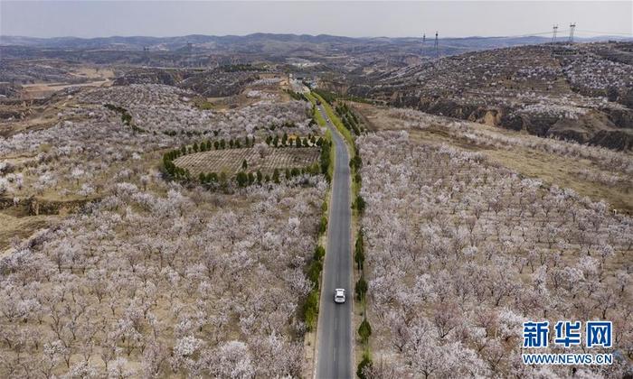 图片默认标题 图片默认标题_fororder_1125824374_15862631557721n