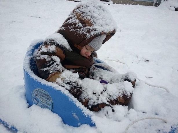 아이들의 심각한 기면증 | 인스티즈