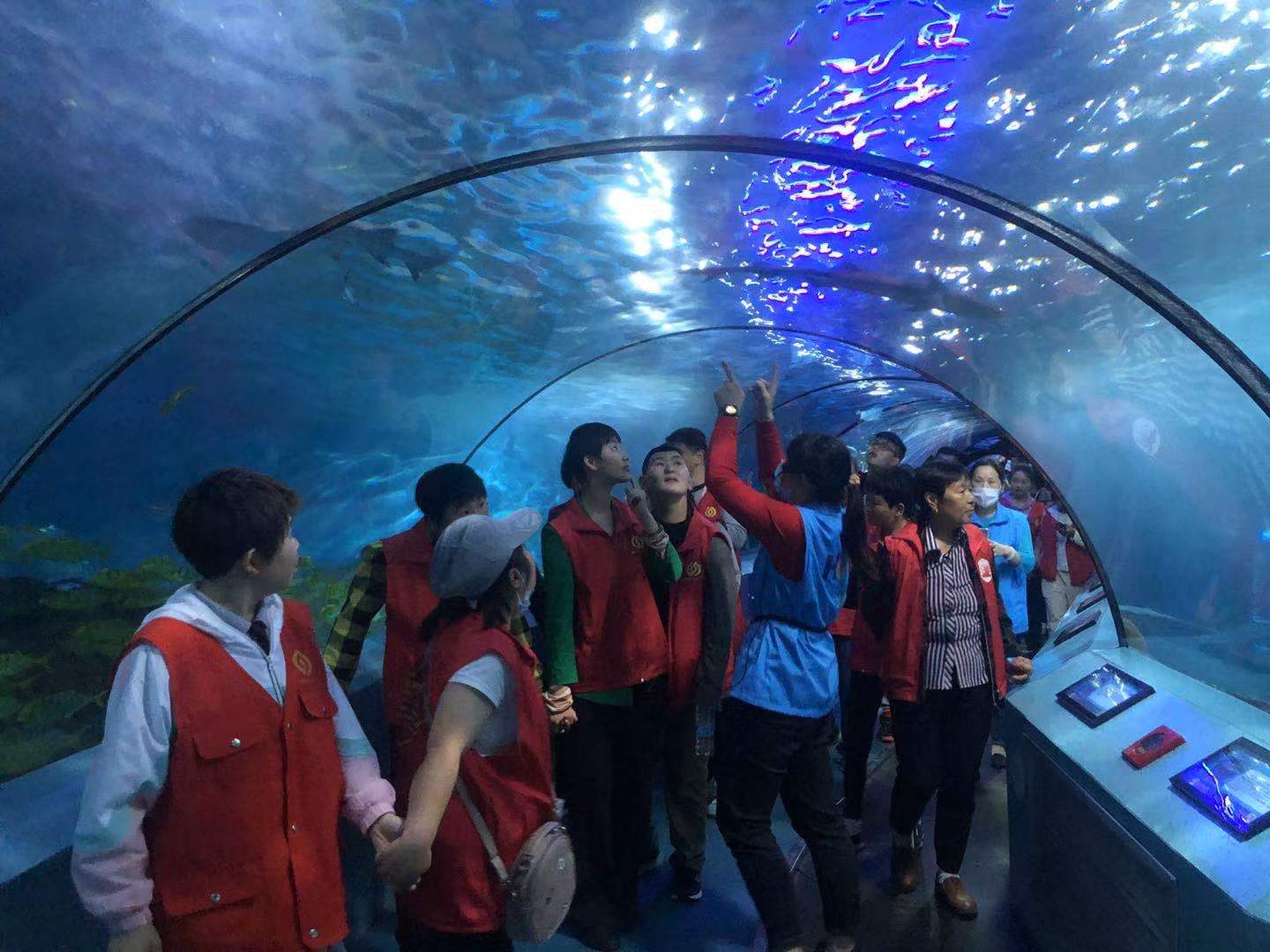 开启海洋探索之旅 南京海底世界迎来32位特殊游客_fororder_图片15