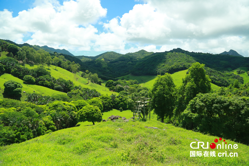 中国与毛里求斯共同保护绿色生态家园(组图)