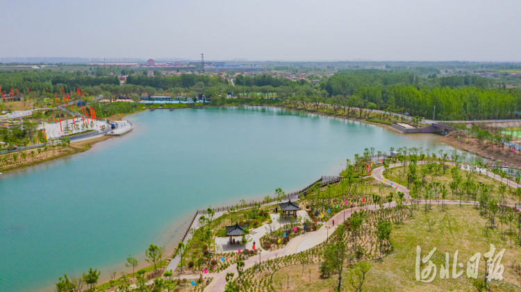 河北邯郸：旧坑塘“变身”大公园