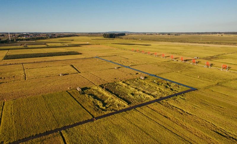 建设品牌强国,习近平这样要求