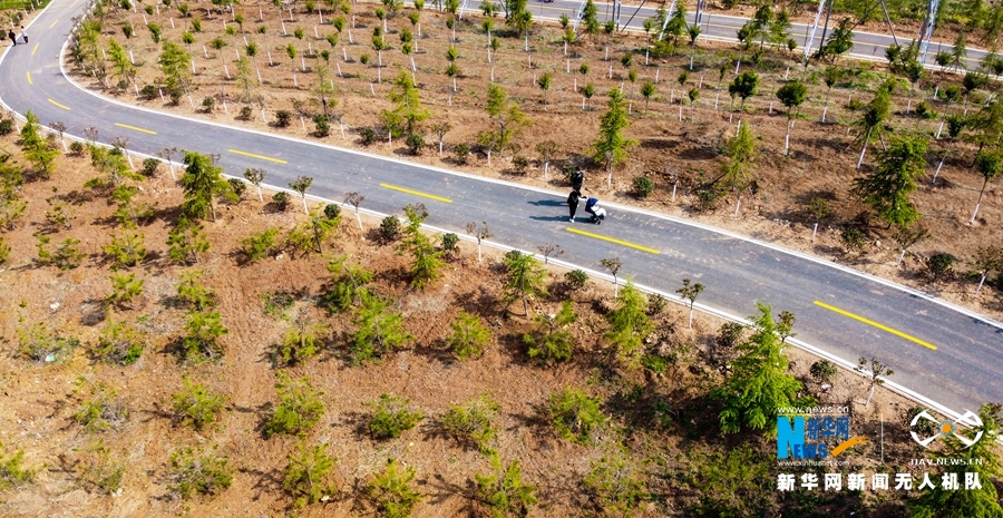 【焦点图-大图】【移动端-轮播图】河南新安：高标准打造黄河生态廊道