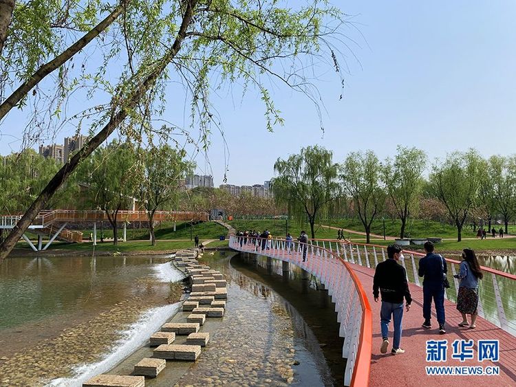 陕西长安：柳绿带朝烟清水绕新城 打造宜居公园城市