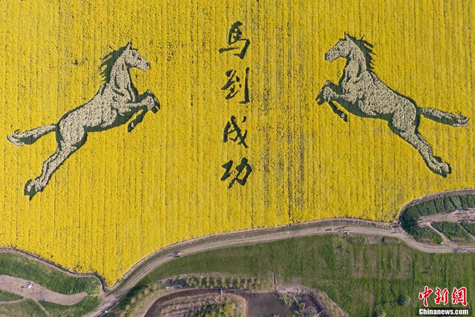 图片默认标题_fororder_白马1