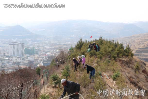 图片默认标题 图片默认标题_fororder_53