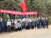 图片默认标题