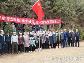 Umat Islam Tanam Pokok, Sumbang Tenaga ke Arah Mesra Alam