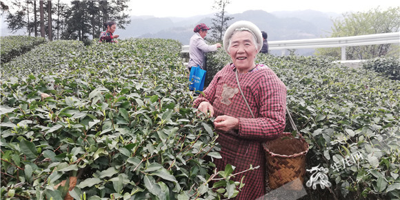 【区县】重庆武隆：一条路的延伸 大山深处有了盼头