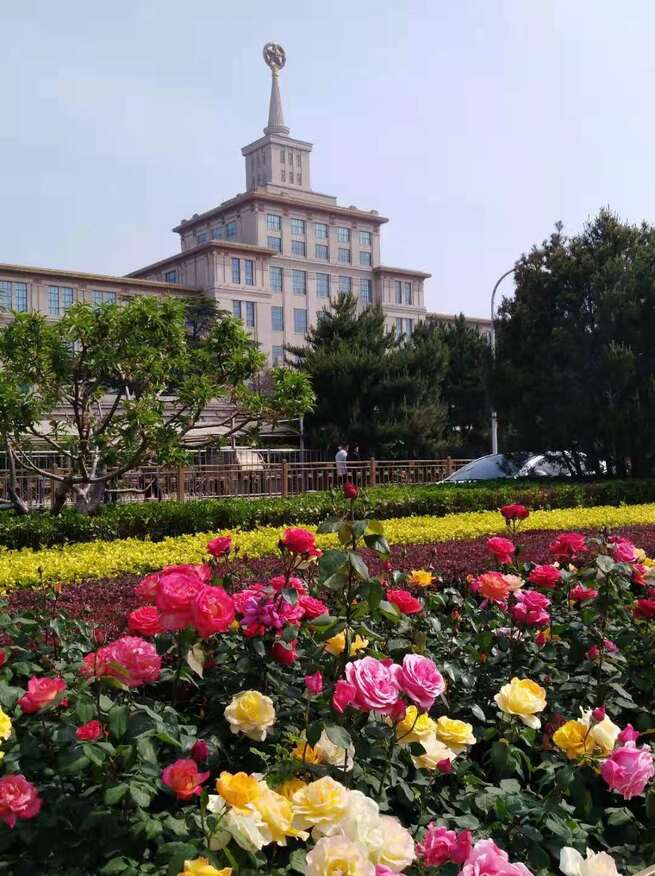 5月11日 火曜日_fororder_微信图片_20210511160608