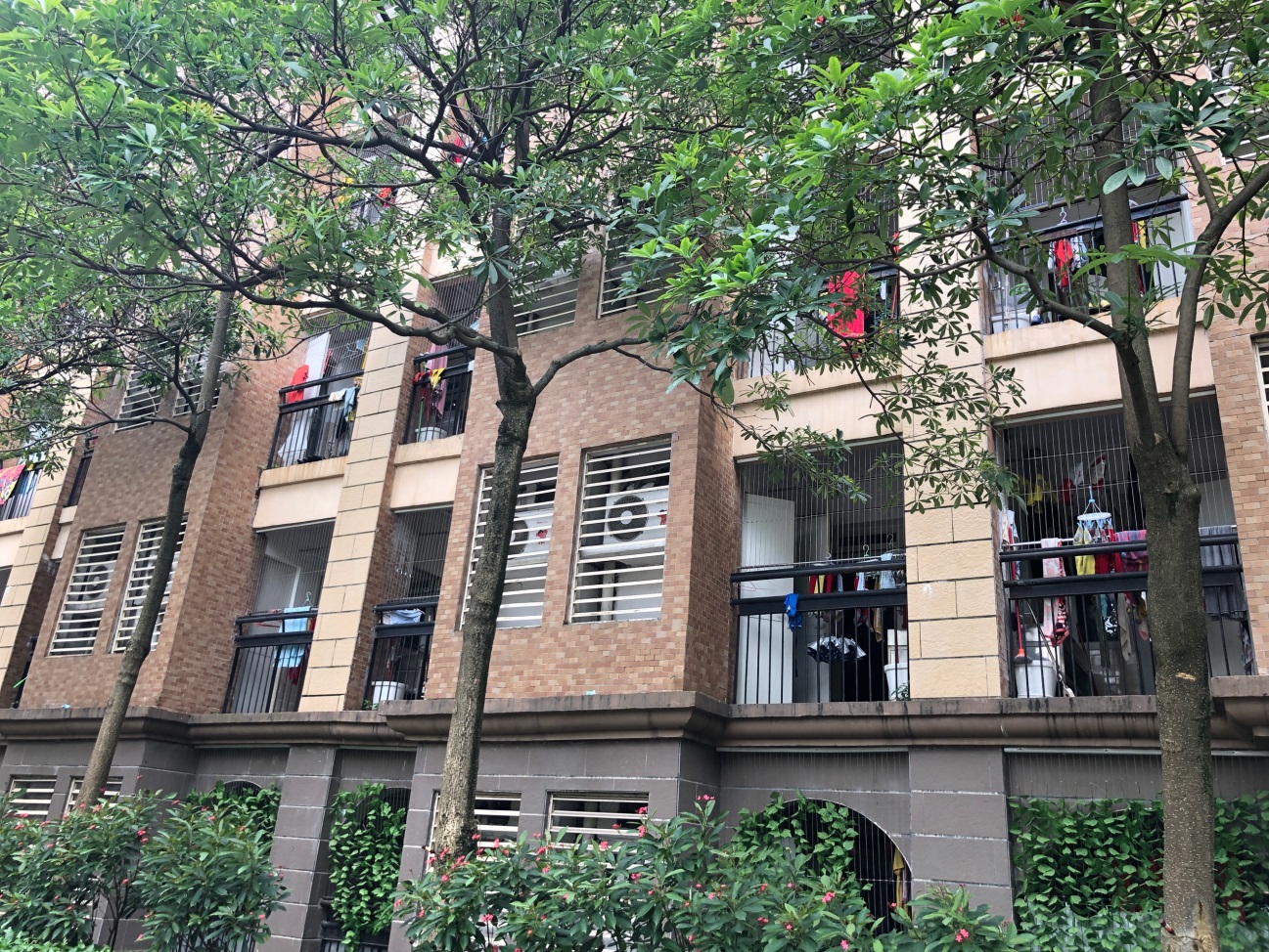 日本人記者が見た、世界最大規模のサッカースクール〜恒大足球学校〜_fororder_4