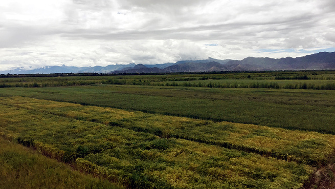 图片默认标题_fororder_net4-6-900my1009