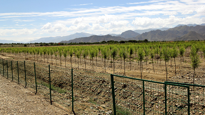 图片默认标题_fororder_net4-5-900my1009