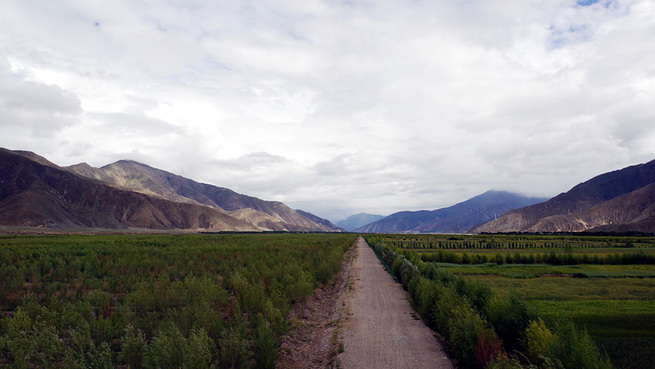 图片默认标题_fororder_net4-9-900my1009