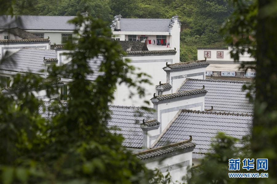 站在華屋村后山俯瞰華屋村的景象（5月6日攝）。