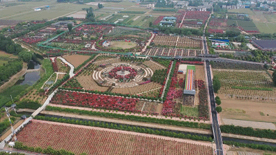 时政新闻眼丨习近平赴河南南阳考察,为何关注这些名人、名产?