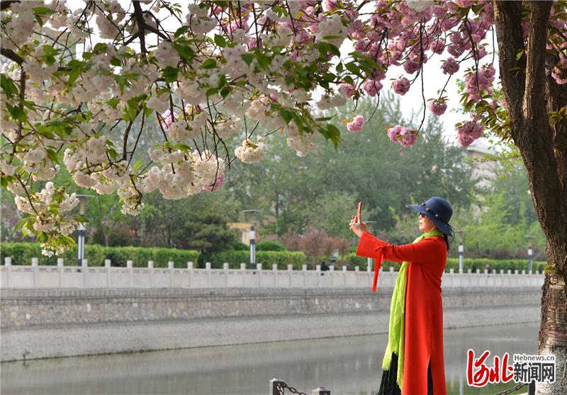 云上赏春四月花开游人醉