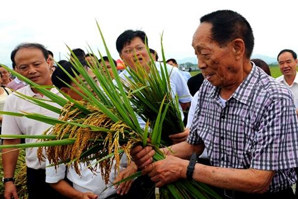 TIẾC THƯƠNG “CHA ĐẺ LÚA LAI” THẾ GIỚI VIÊN LONG BÌNH_fororder_2