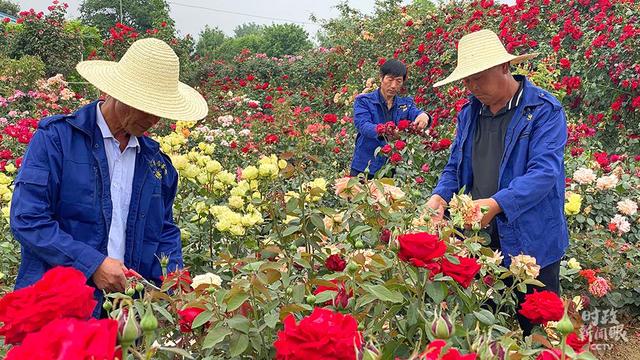 图片默认标题_fororder_微信图片_20210513162624