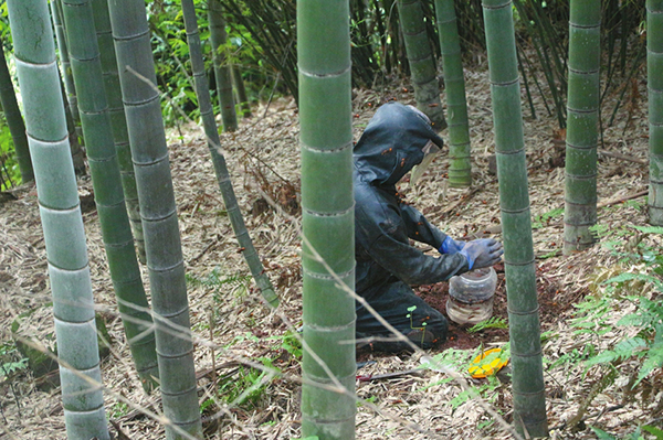 图片默认标题_fororder_1aa9865e843e5b1b12ba18c3309611de