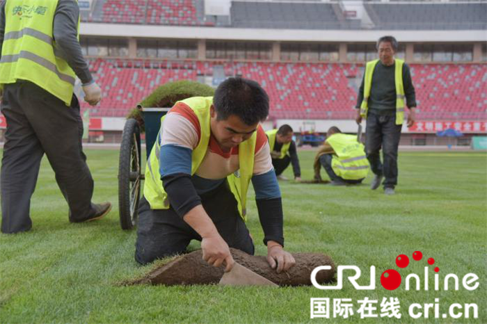 （加急）“春来换新裳” 渭南市体育中心足球场完成新草坪铺设进入养护期