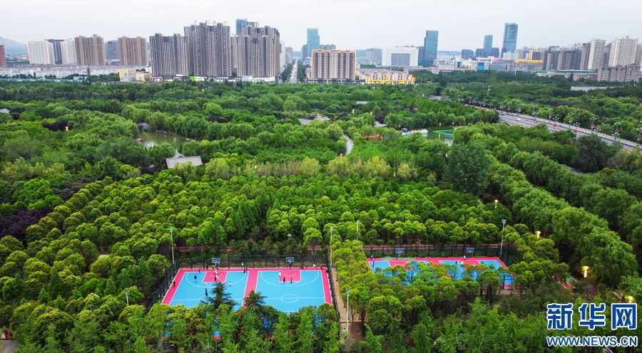 【飞“阅”中国】洛阳：“城市绿肺”打造鲜氧生活