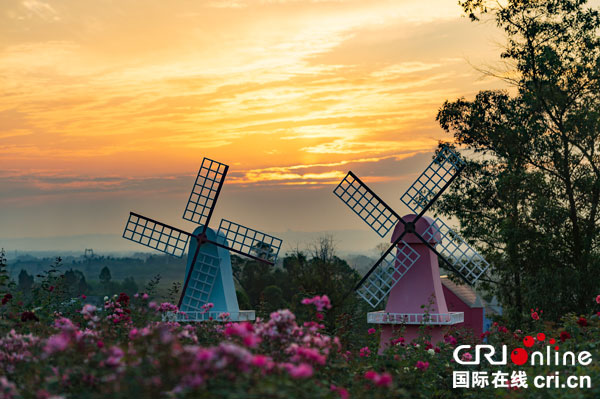 图片默认标题_fororder_大安玫瑰海景区（摄影-廖志全）