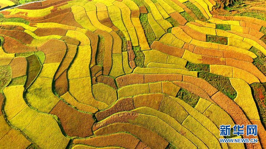金秋调色板(组图)