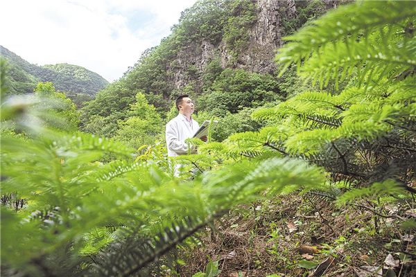 神农架拯救繁育珍稀濒危植物_fororder_01