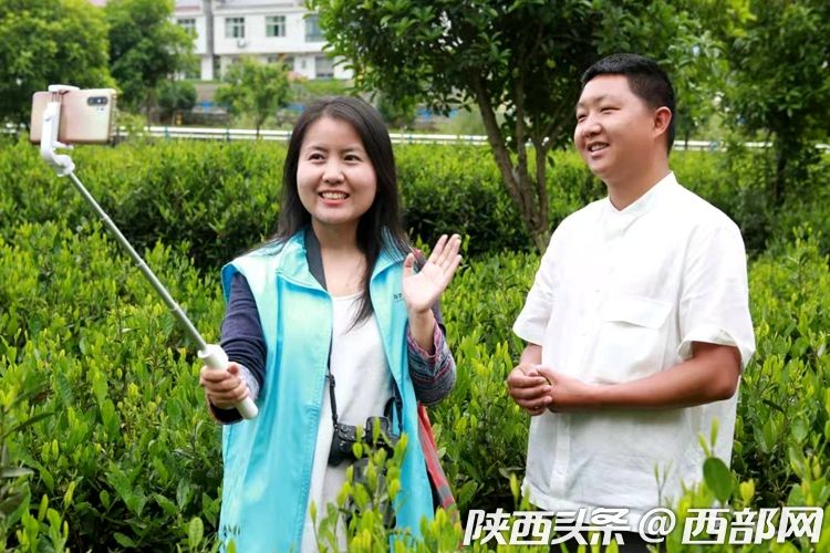 （转载）第二届陕西网上茶博会走进平利：赏乡村美景 品安康富硒茶