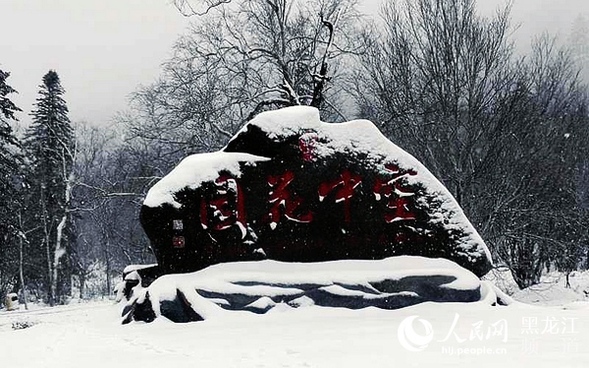 小满节气黑龙江凤凰山降雪15厘米 雪映杜鹃一山看两景