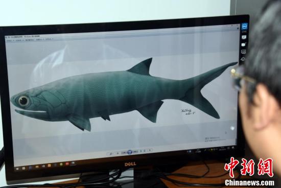 พบฟอสซิลปลาชนิดใหม่ขนาดใหญ่อายุกว่า 244 ล้านปี_fororder_20210520化石5