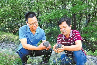 【环保-文字列表】 河南省全力推进生物多样性保护