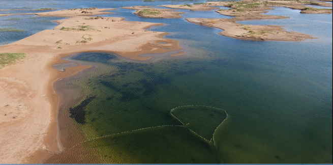 洪水対策と生態修復の両立で効果あげる＝クブチ砂漠_fororder_图片7