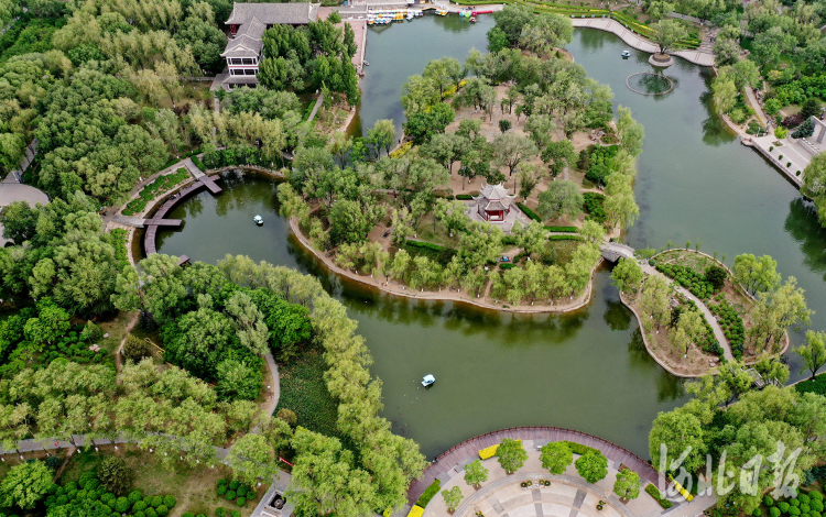 河北宣化：“万柳盛景”今在万柳公园