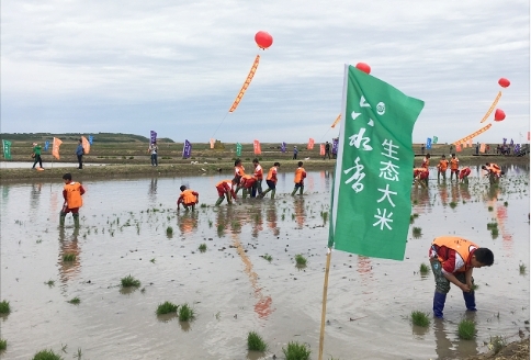 第三届“福稻泰来”插秧节落幕 六水香全产业链成就明星大米