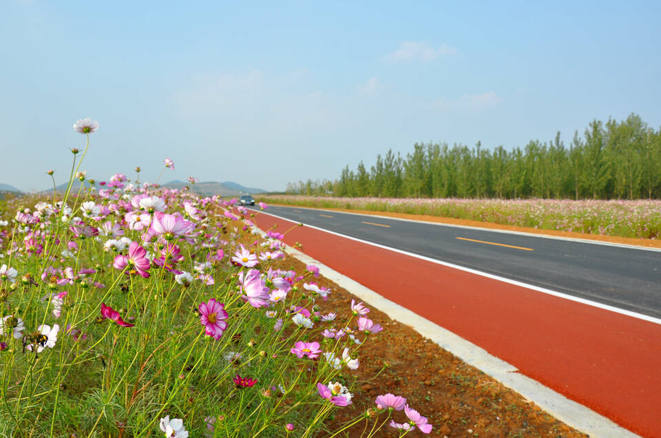 2020年度中国“十大最美农村路”公布 山东再次榜上有名！