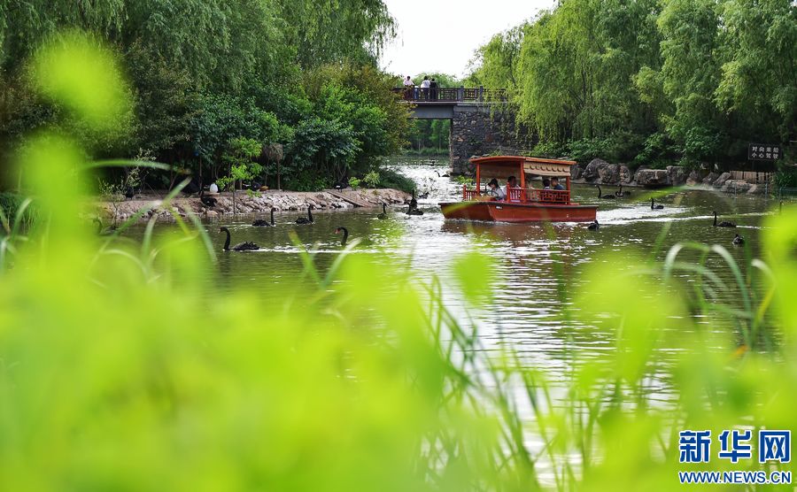 【飞“阅”中国】洛阳：“城市绿肺”打造鲜氧生活