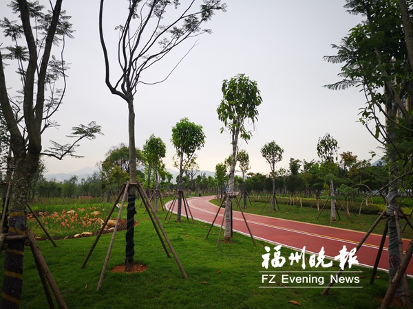 【要闻】【福州】【移动版】【Chinanews带图】福清湿地公园下月开放 占地123亩开辟城市菜地