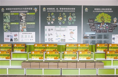 图片默认标题_fororder_3