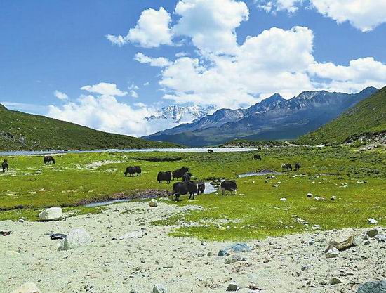 图片默认标题_fororder_2