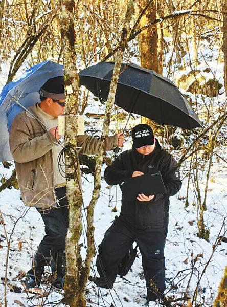 图片默认标题_fororder_3