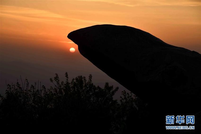 图片默认标题_fororder_1124526694_15584897454831n