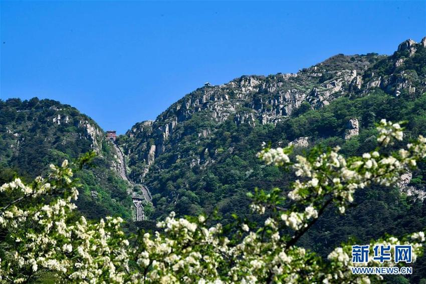 图片默认标题_fororder_1124526694_15584897453881n