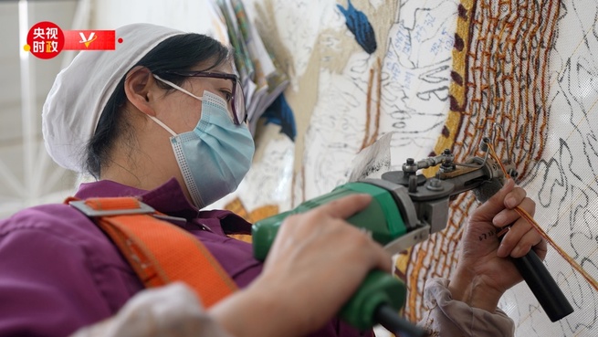 青海省視察の習主席、じゅうたんメーカーを最初に訪問_fororder_A2