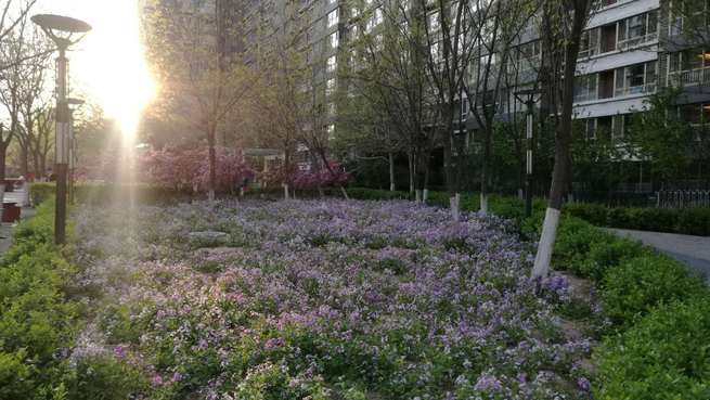 图片默认标题_fororder_WeChat Image_20200414205330