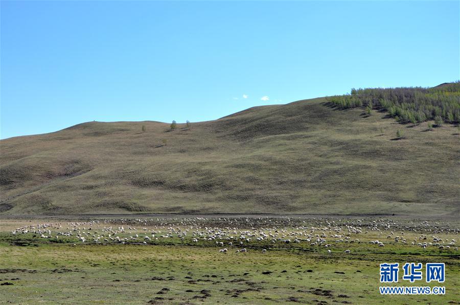 内蒙古：内蒙古草原陆续进入返青期