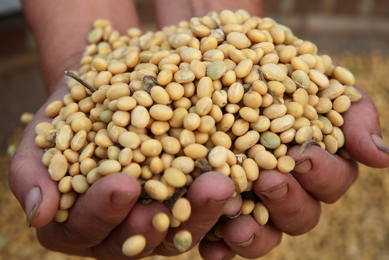 Tanzanya’dan ithal edilen 120 ton soya fasulyesi Çin gümrüğünden geçti_fororder_VCG111181989481